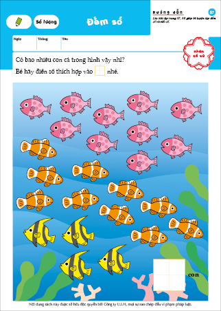 Số đếm - 5~6 tuổi