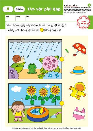 Số - Tư duy - 4~5 tuổi