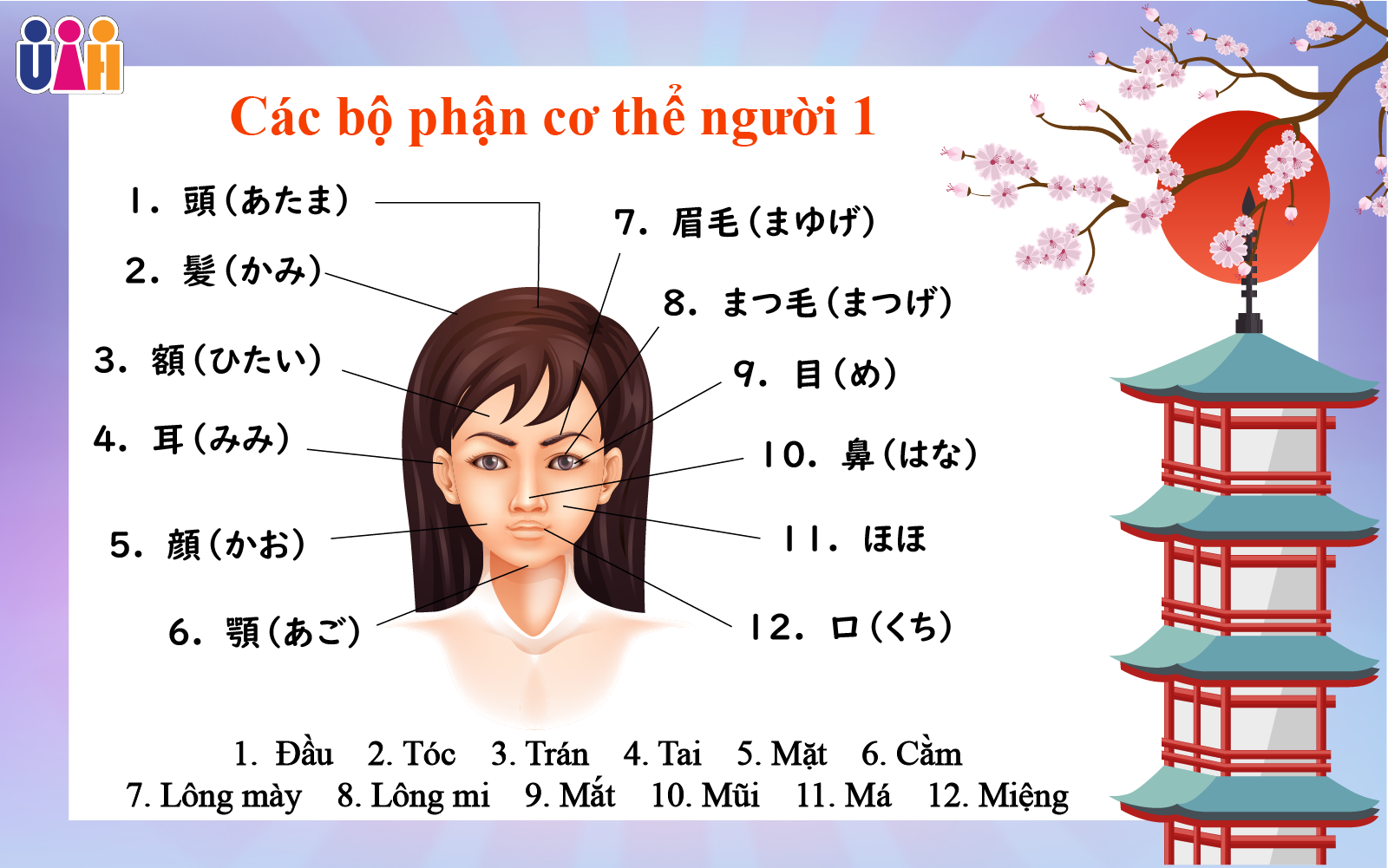 Từ vựng bộ phận cơ thể người