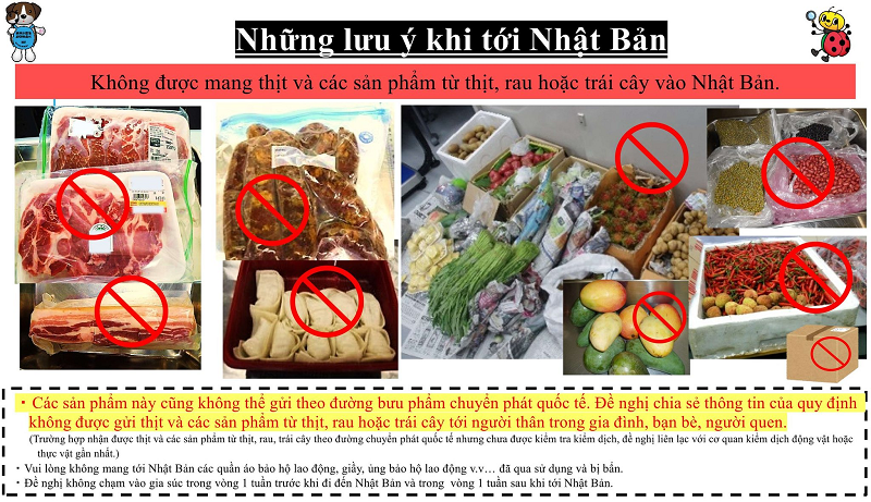 LƯU Ý KHI NHẬP CẢNH VÀO NHẬT BẢN TỪ SAU NGÀY 1/3/2022