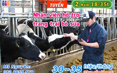 TUYỂN NHÂN VIÊN HỖ TRỢ TRANG TRẠI BÒ SỮA
