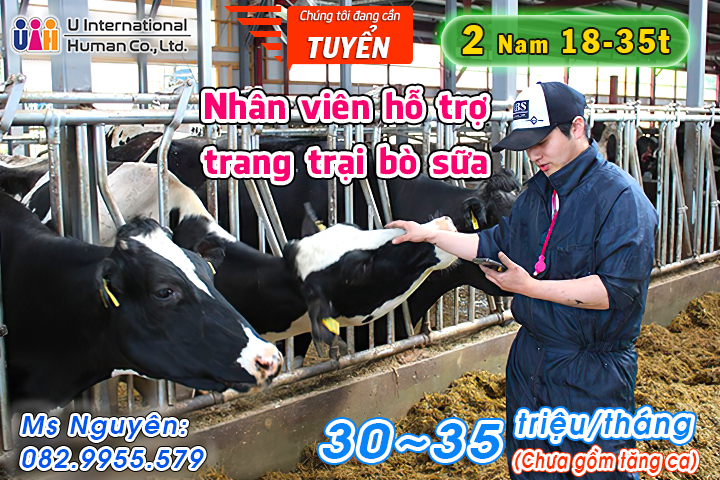 TUYỂN NHÂN VIÊN HỖ TRỢ TRANG TRẠI BÒ SỮA