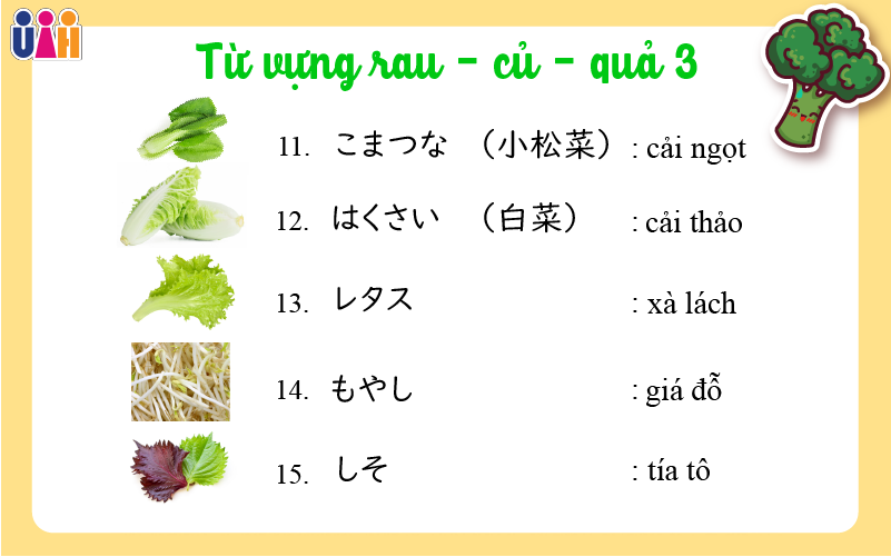 Từ vựng tiếng nhật các loại rau củ quả