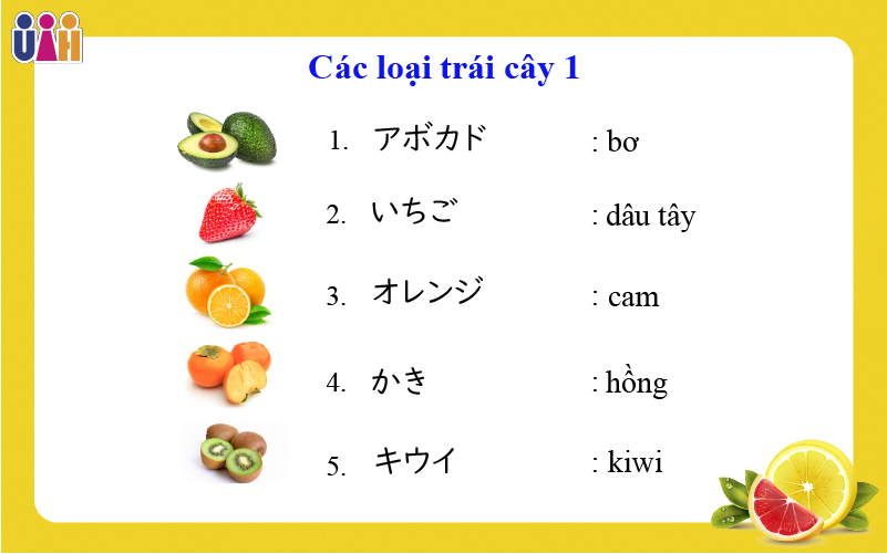 Từ vựng về các loại trái cây