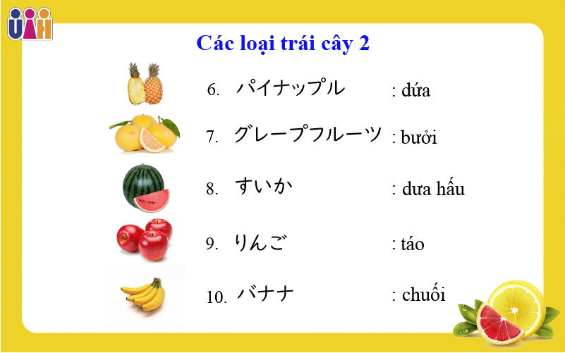 Từ vựng về các loại trái cây