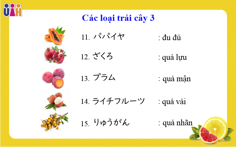 Từ vựng về các loại trái cây