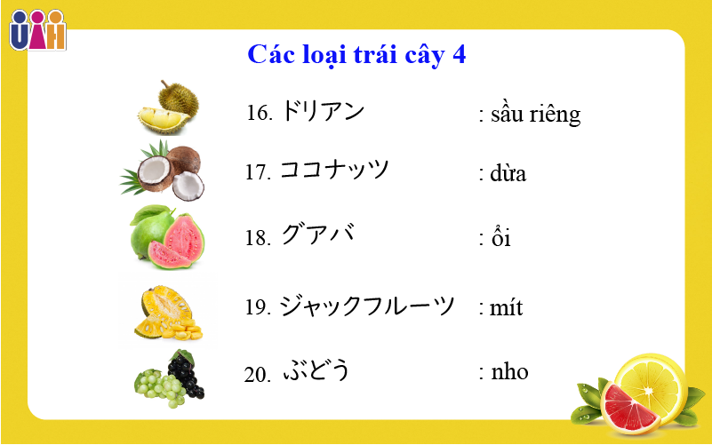 Từ vựng về các loại trái cây