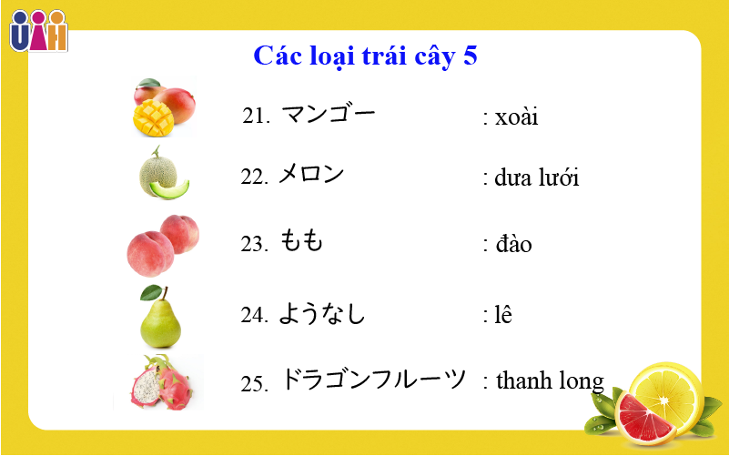 Từ vựng về các loại trái cây