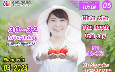 TUYỂN NHÂN VIÊN THU HOẠCH TRÁI CÂY