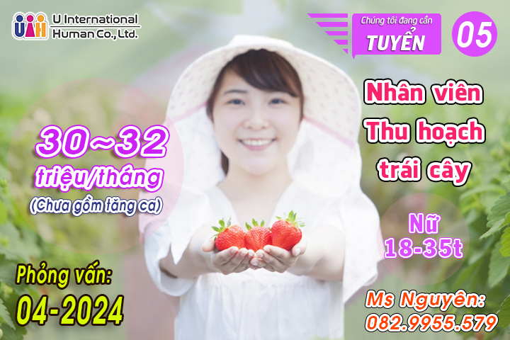 TUYỂN NHÂN VIÊN THU HOẠCH TRÁI CÂY